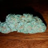 Семена конопли  Auto Hell's Angel OG feminised Ganja Seeds